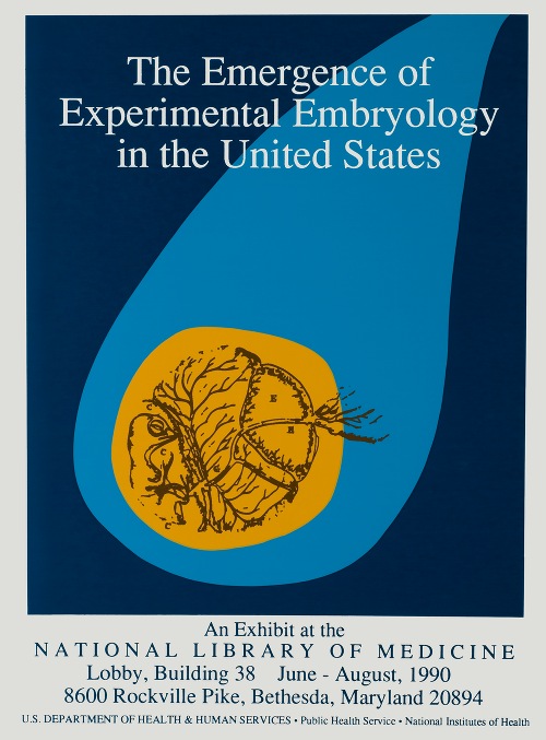 The emergence of experimental embryology in the United States (1990)