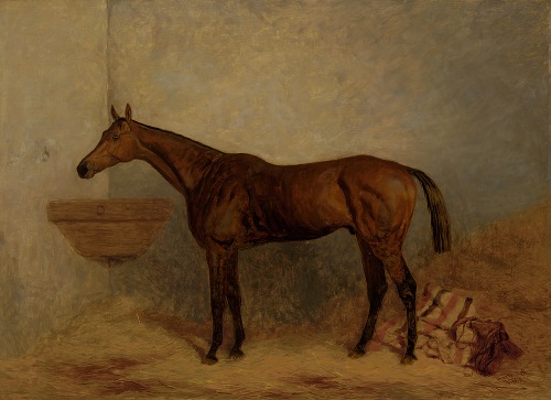 Isonomy, a bay colt in a stall (1878)