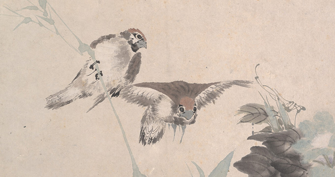 Animals, Flowers and Birds