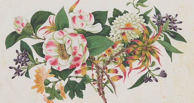 Bouquets of flowers