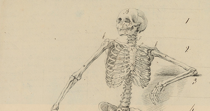 Cahiers d'Anatomie