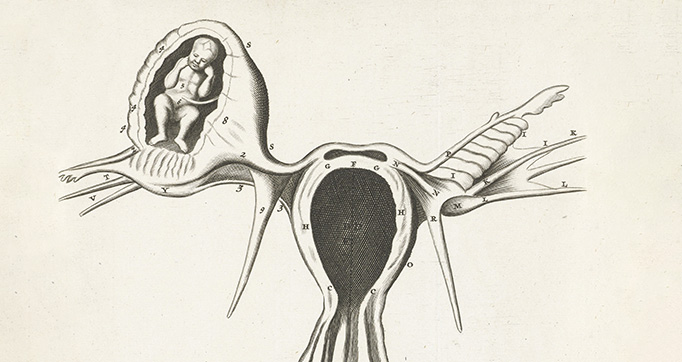 De mulierum organis generationi inservientibus tractatus novus