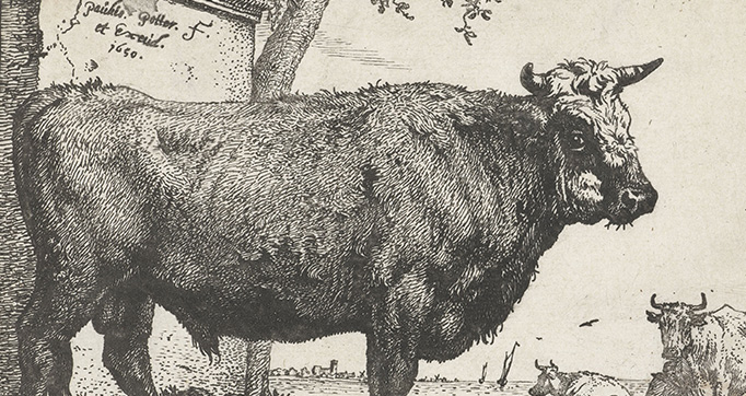 The Bull Book