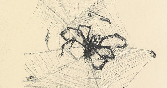 Histoires naturelles