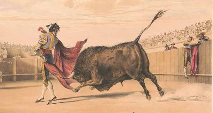 The Spanish bull-fights