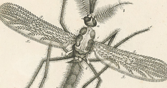 The book of nature, or, The history of insects
