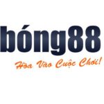 Profile photo of BONG88