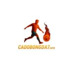 Profile photo of Cá độ bóng đá