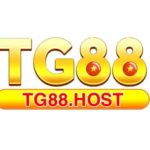 Profile photo of tg88