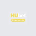 Profile photo of hubetuscom