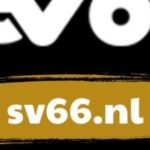 Profile photo of SV66