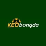 Profile photo of KÈO BÓNG ĐÁ