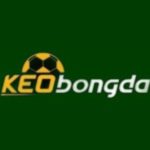 Profile photo of KÈO BÓNG ĐÁ