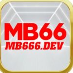 Profile photo of mbdev