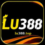 Profile photo of lu388top