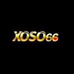 Profile photo of XOSO66 NHÀ CÁI CÁ CƯỢC UY TÍN HÀNG ĐẦU CHÂU Á