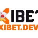 Profile photo of xibetdev