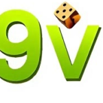 Profile photo of 69vnimmo