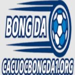 Profile photo of Cá cược bóng đá
