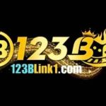 Profile photo of 123blink1