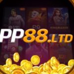 Profile photo of PP88