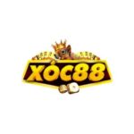 Profile photo of Xoc88 – Cổng game tài xỉu, xóc đĩa, rồng hổ uy tín hàng đầu
