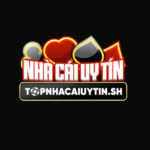 Profile photo of Nhà cái uy tín