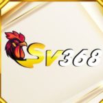 Profile photo of sv3689net