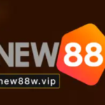 Profile photo of Nhà Đài New88