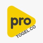 Profile photo of ProtoGel Bandar Togel Online
