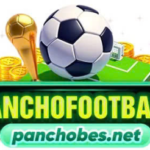 Profile photo of Panchobes Net