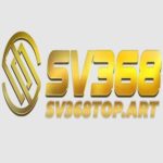 Profile photo of sv368topart