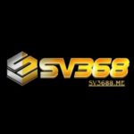 Profile photo of sv3688me