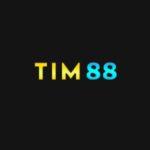 Profile photo of tim88art