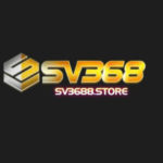 Profile photo of sv3688store