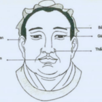 Profile photo of pillsand skills