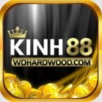 Profile photo of kinh88vn