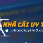 Profile photo of NhaCai Uy Tin