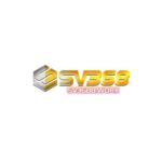 Profile photo of sv3688work