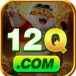 Profile photo of 12q bet
