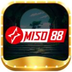 Profile photo of miso88