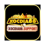 Profile photo of Xocdia88
