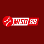 Profile photo of miso888com