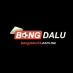 Profile photo of bongdalu23commx