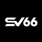 Profile photo of SV66