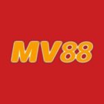 Profile photo of mv883com