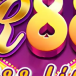 Profile photo of r88life