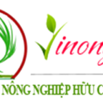 Profile photo of Vinong Đức Bình