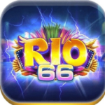 Profile photo of Rio66 com co
