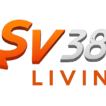Profile photo of sv388living